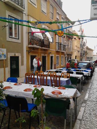 O Cacador da Oliveira